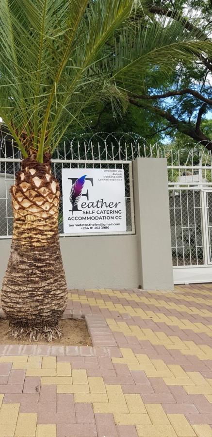 Feather Self Catering Accommodation Windhoek Exteriör bild